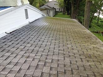 moss_covered_shingled_flat_roof